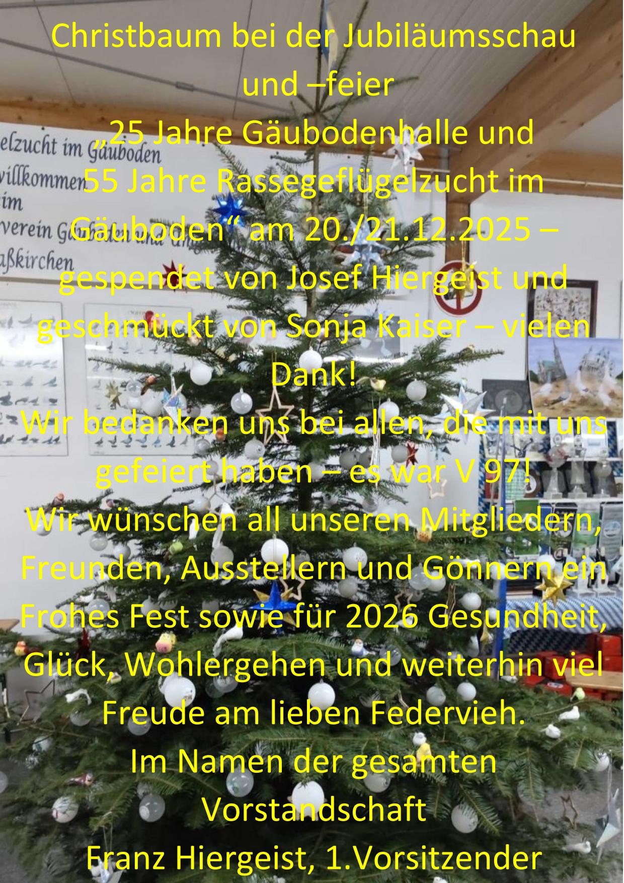 12 Weihnachten 01