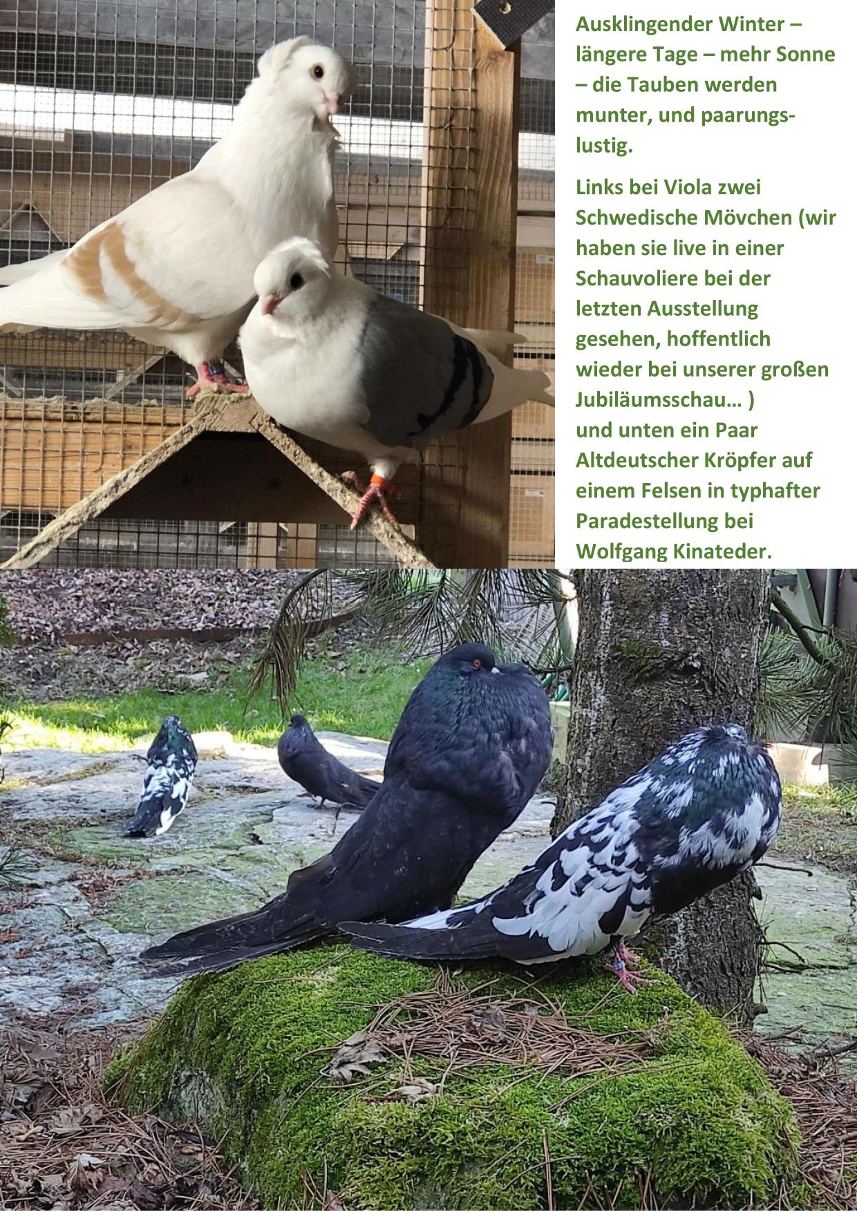 2 Frühling 01