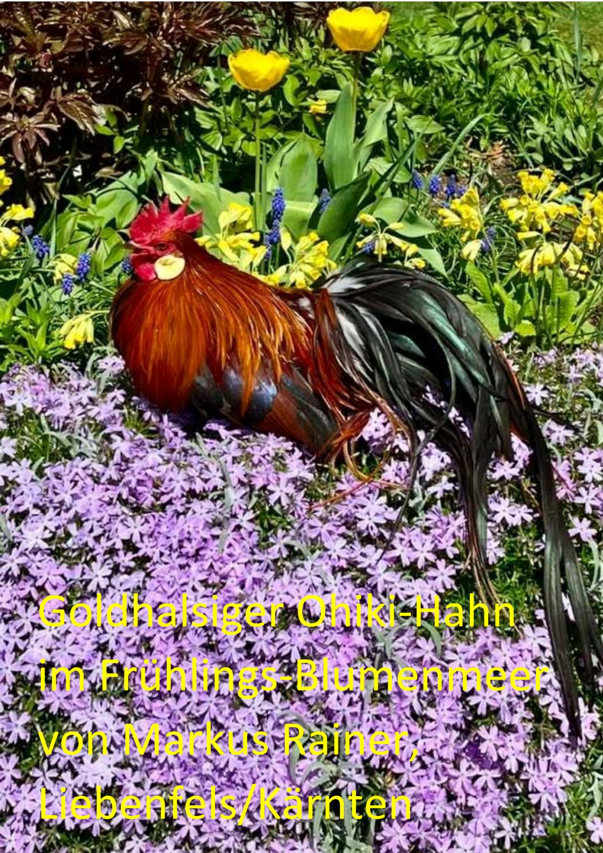 5 Blumenmeer 01