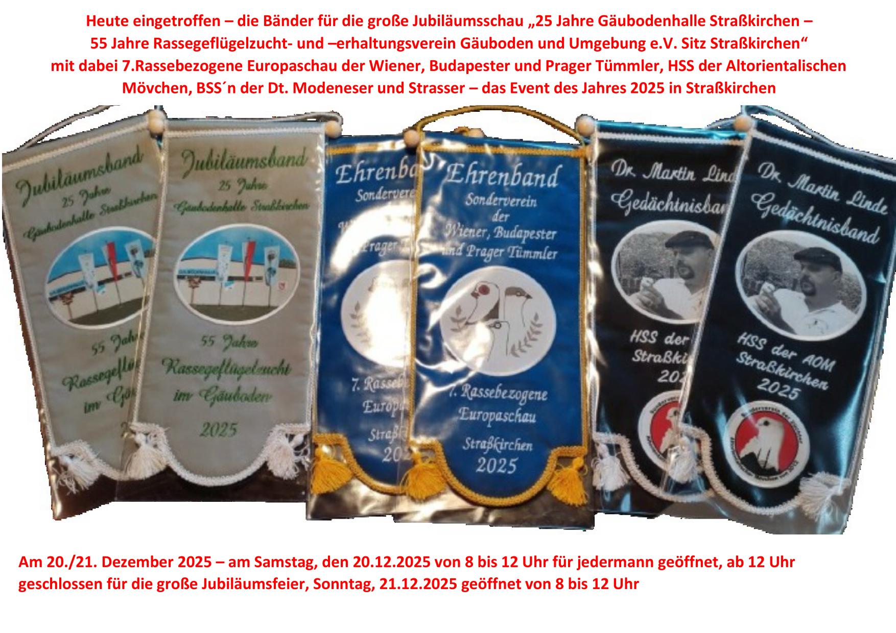 6 Bänder 01