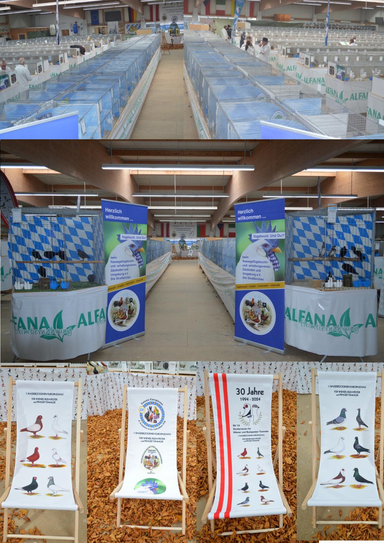 1 Jubiläumsschau1 03