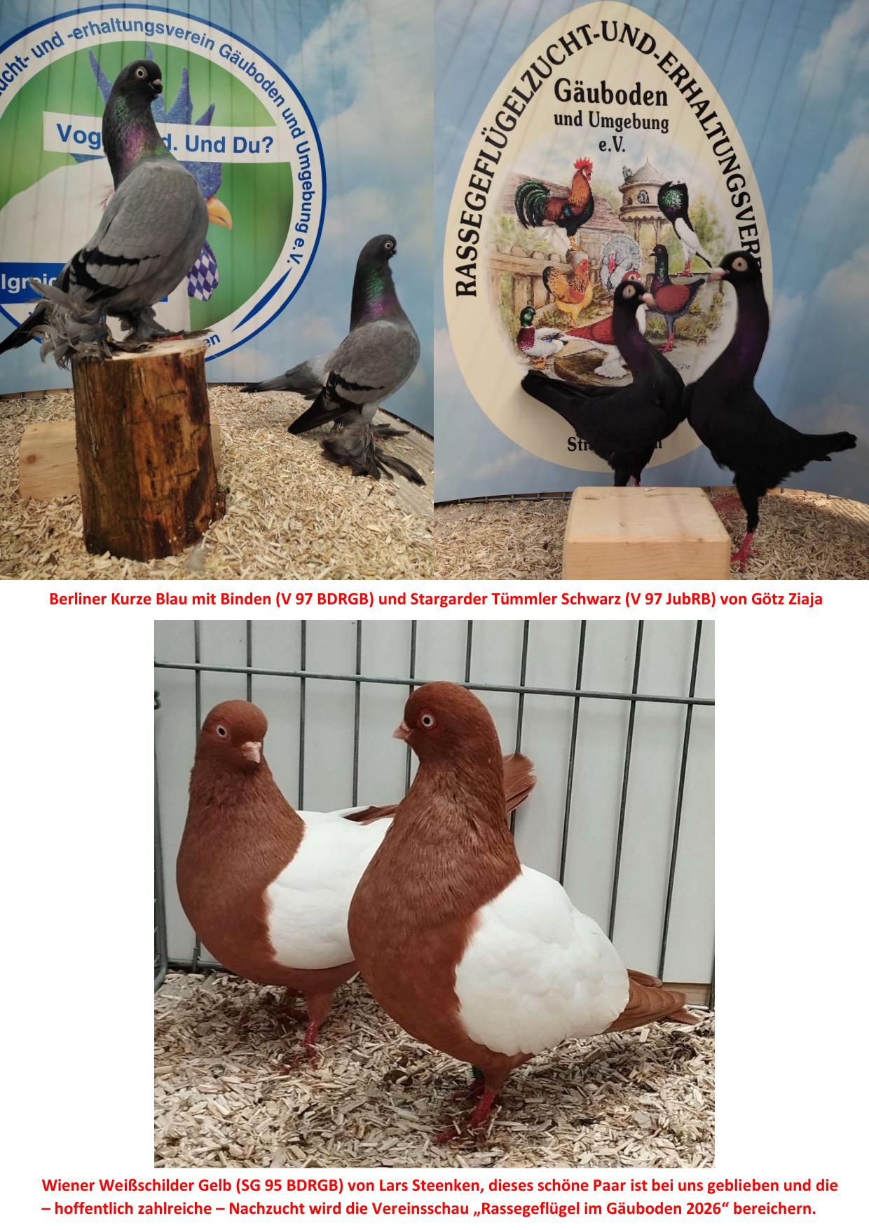 1 Jubiläumsschau 4 02