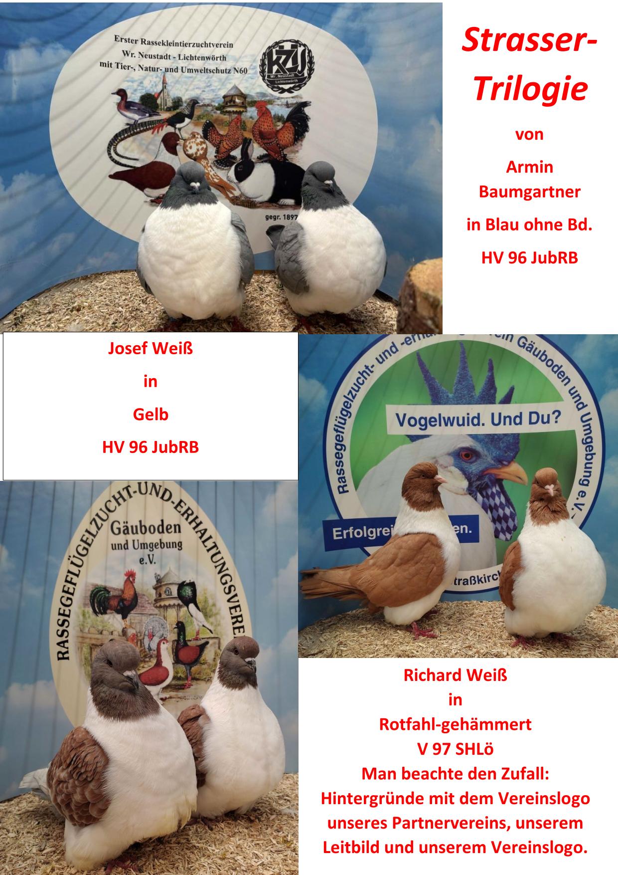 1 Jubiläumsschau 5 01