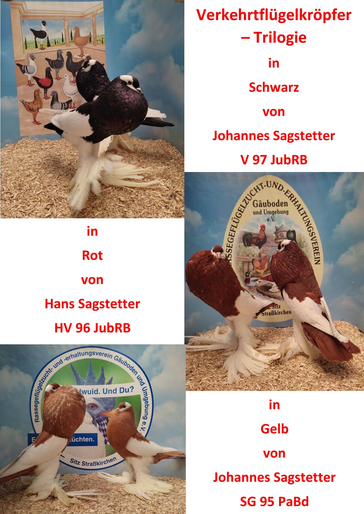 1 Jubiläumsschau 6 01