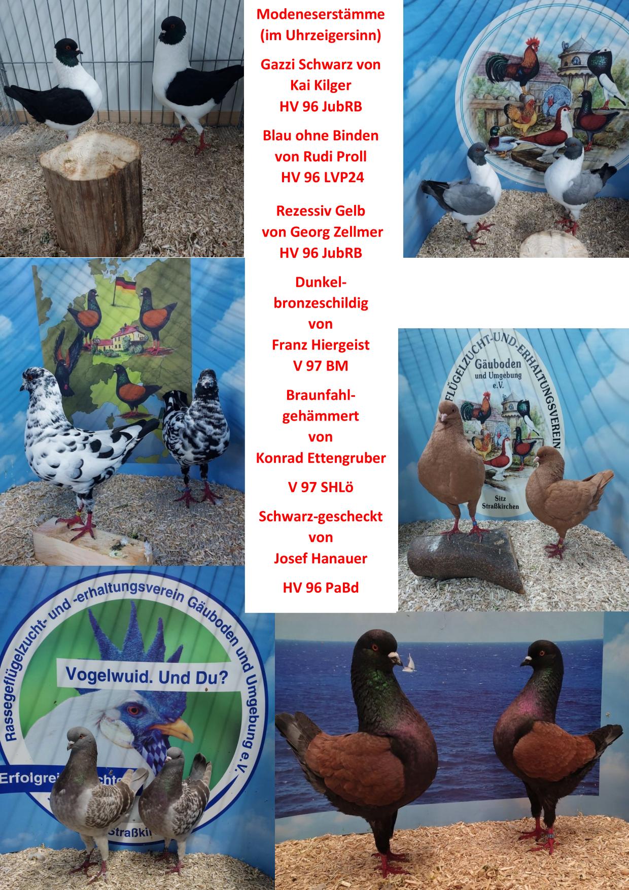 1 Jubiläumsschau 7 02