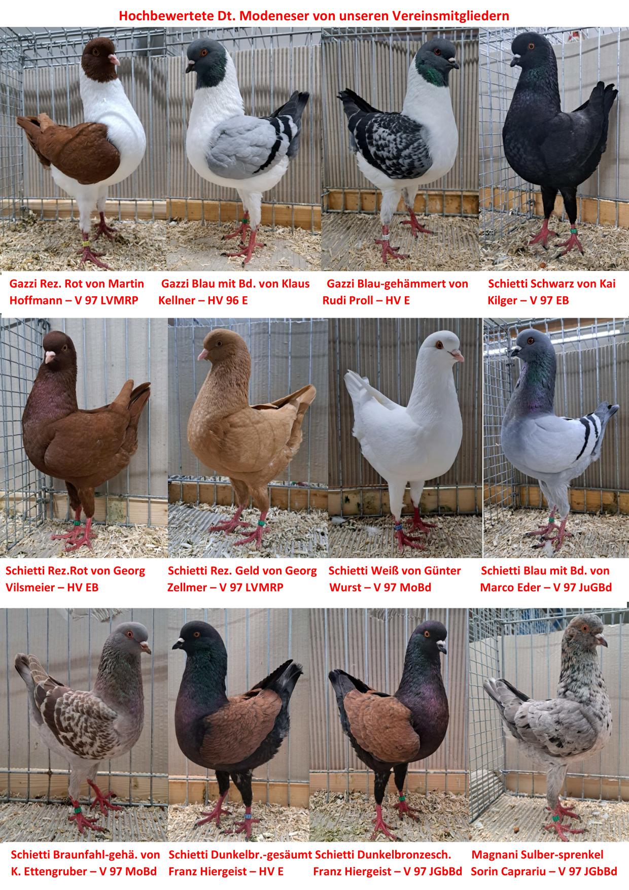 1 Jubiläumsschau 8 01