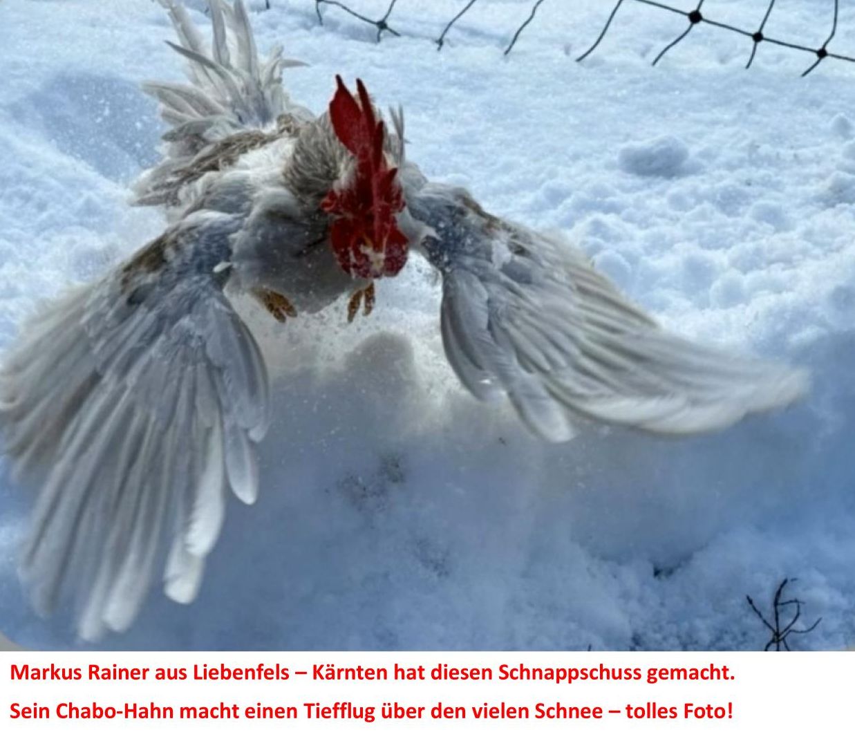 1 Rainer Markus Chabohahn 01