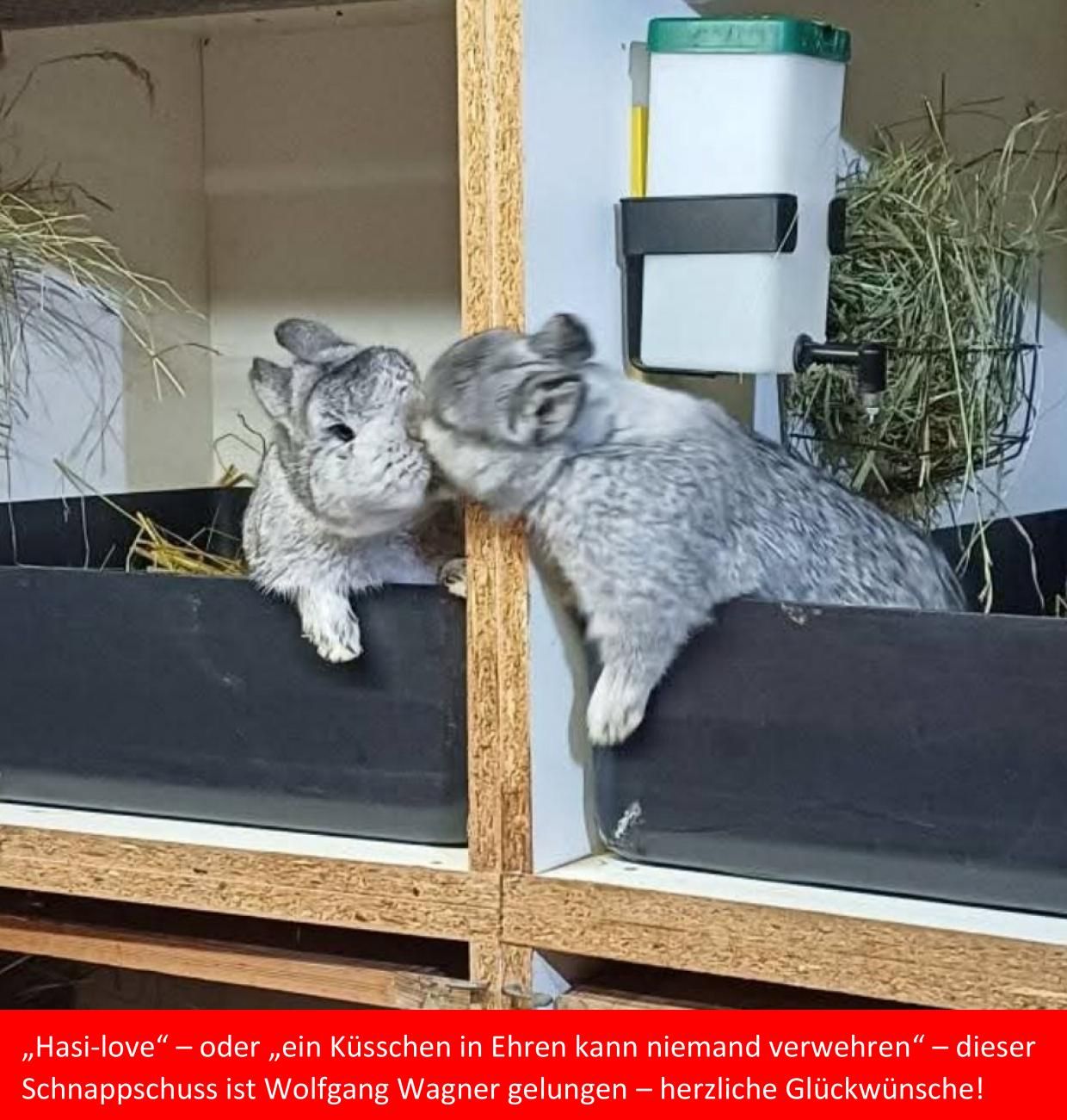 2 Wagner Wolfgang Hasi love 01