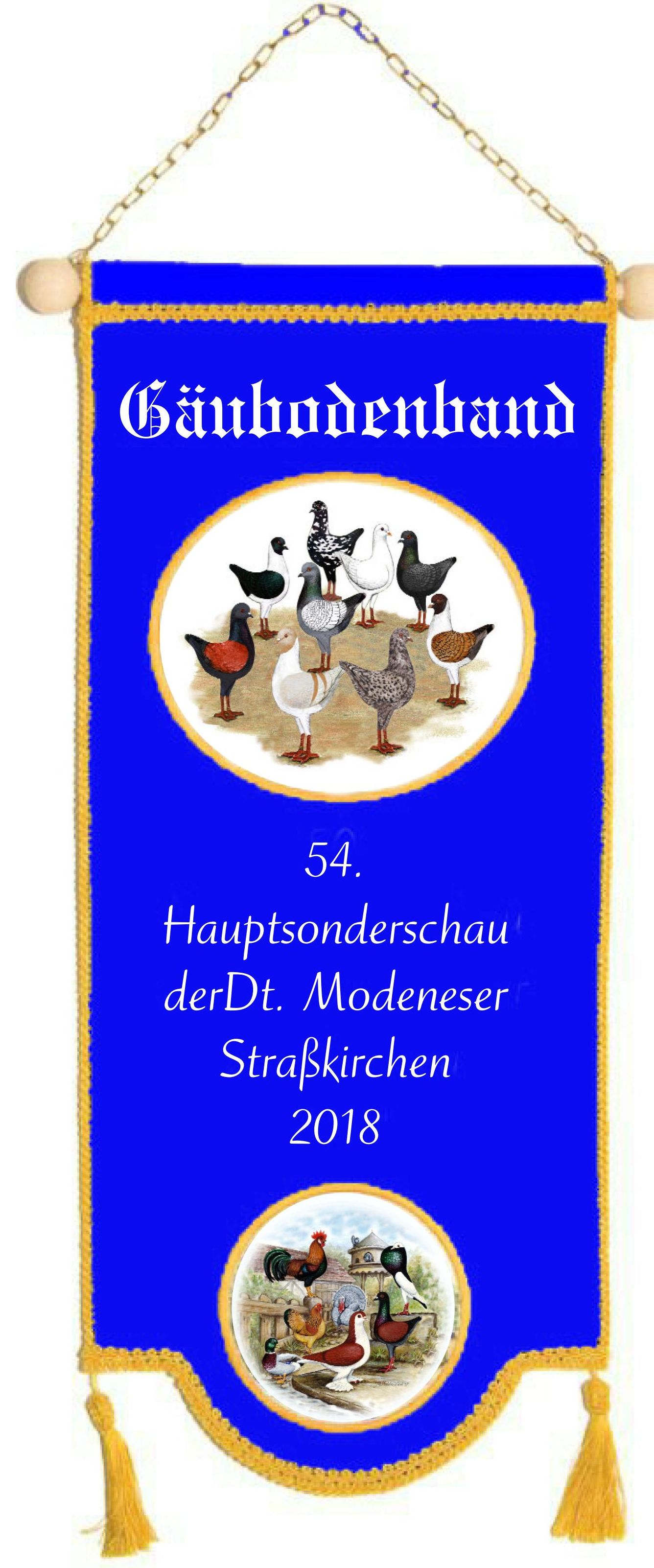 Gäubodenbänder 2018 01