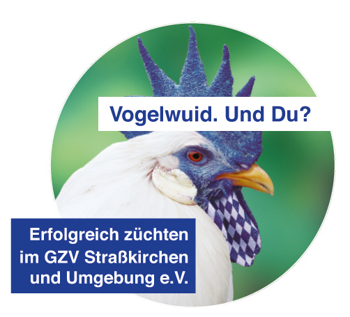 Hahn 1