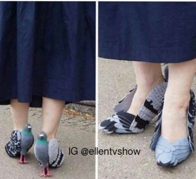 Taubenschuhe