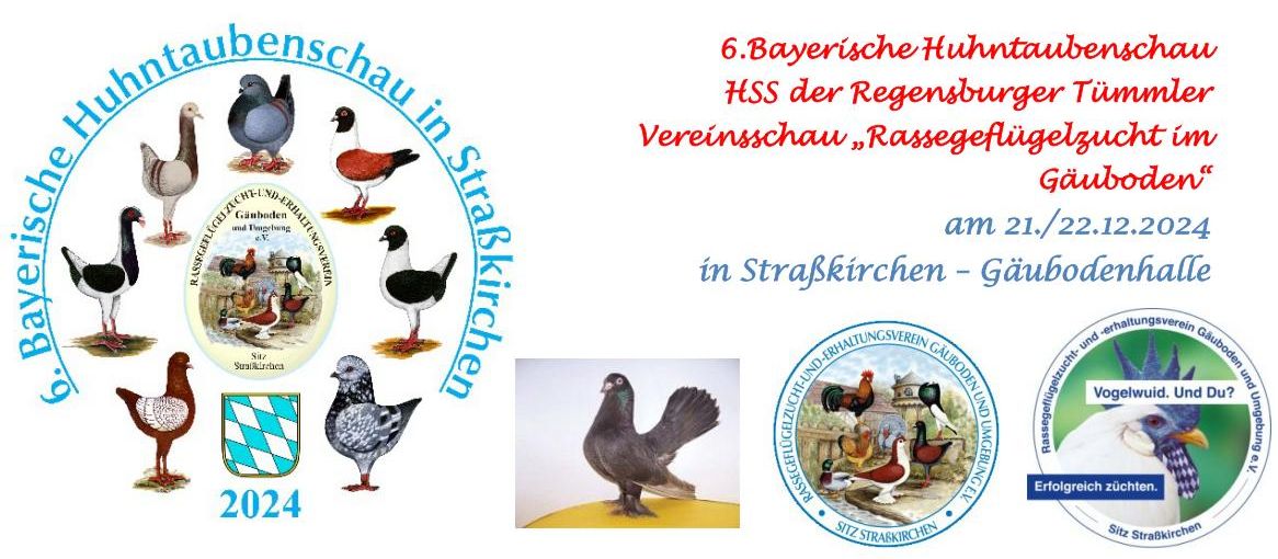 Schauanzeige VS 2024