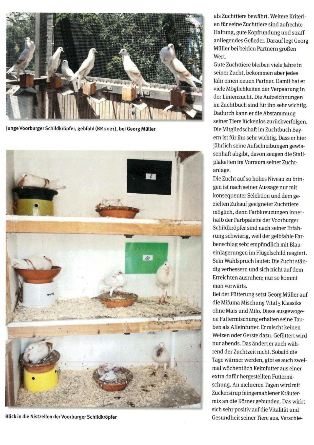 Müller Georg 03