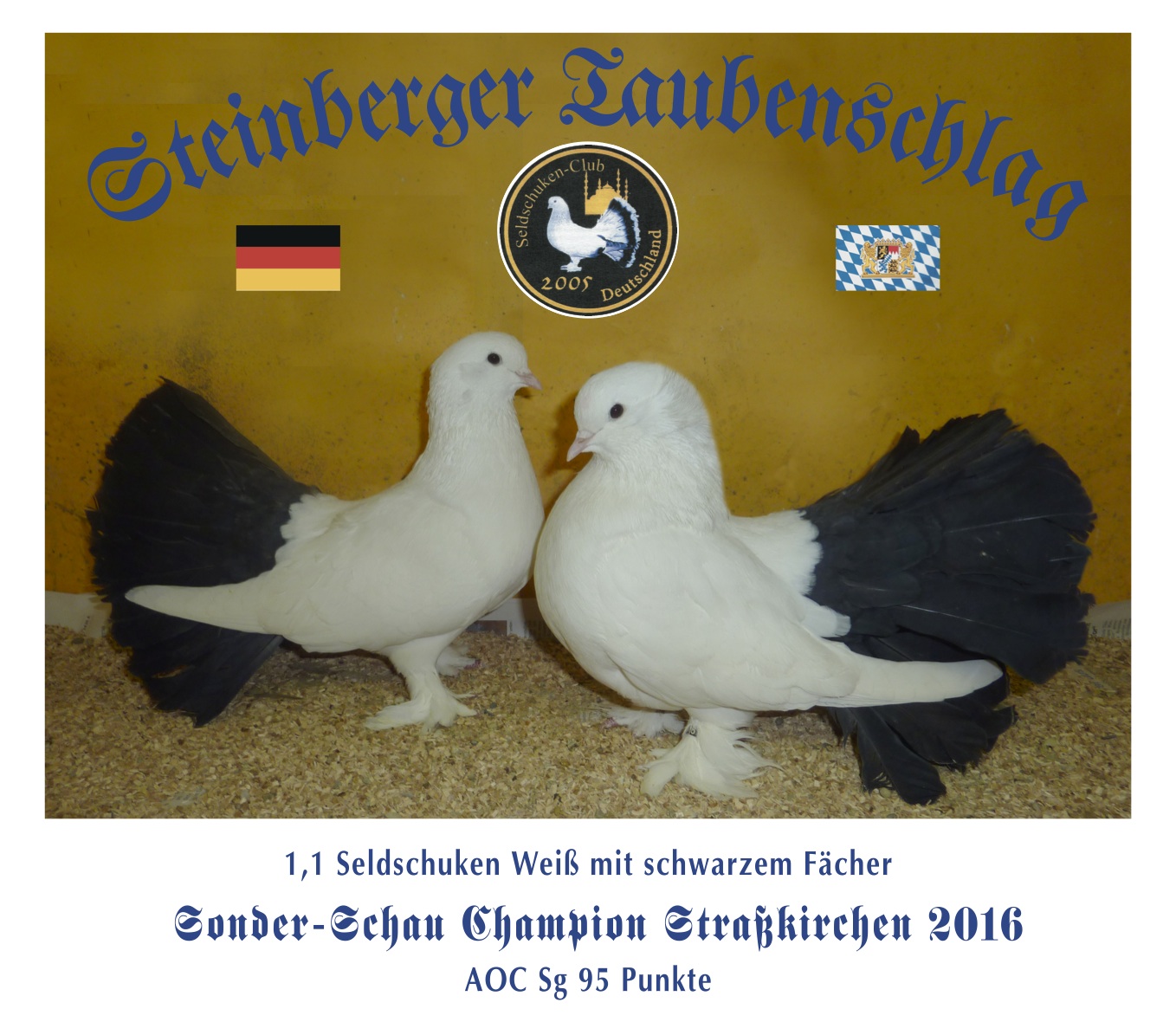 fenzl.stra kirchen.2