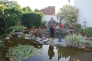 Austria_35
