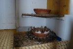 Austria_141
