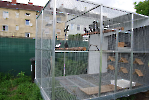 Austria_90