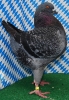 Die besten Tiere unseres Vereins