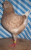 Die besten Tiere unseres Vereins