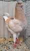 VS23 Tiere_38