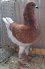 VS23 Tiere_42