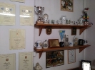 Pinz_15