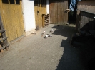 Ro_J_12